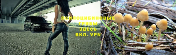 jwh Дмитриев