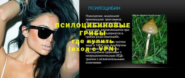 бошки Дмитровск