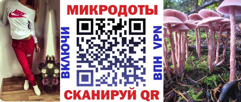 Купить  Арск  Галлюциногенные грибы Magic Shrooms 